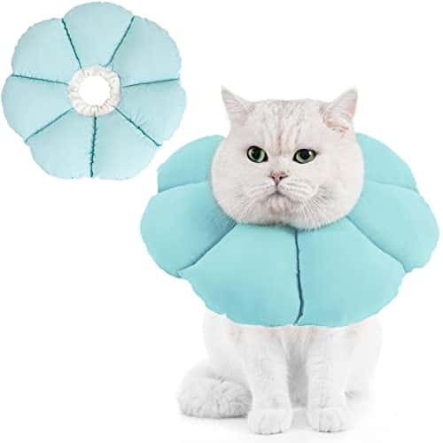 Taastumiskrae (Elizabethi krae) – pehme (Avont)