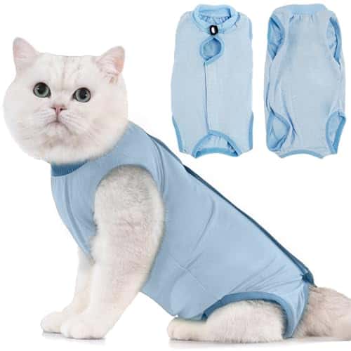 Taastumisbody (kassile/koerale) (Avont)