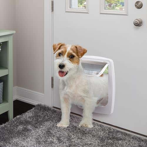 Kassiluuk suurus L (31 × 9,6 × h. 38,4 cm.), värv valge (Ferplast)