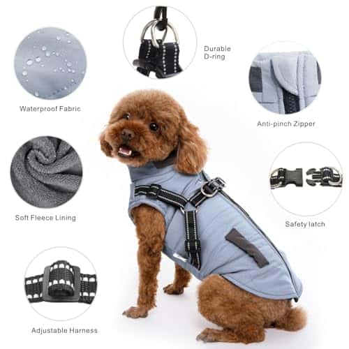 Koera riideese – veekindel, helkiv, soe (Oslueidy)