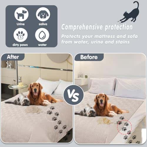 Lemmiklooma tekk/kate – veekindel suurus 173-208cm(1 Pack), värv Creme (DUJUIKE)