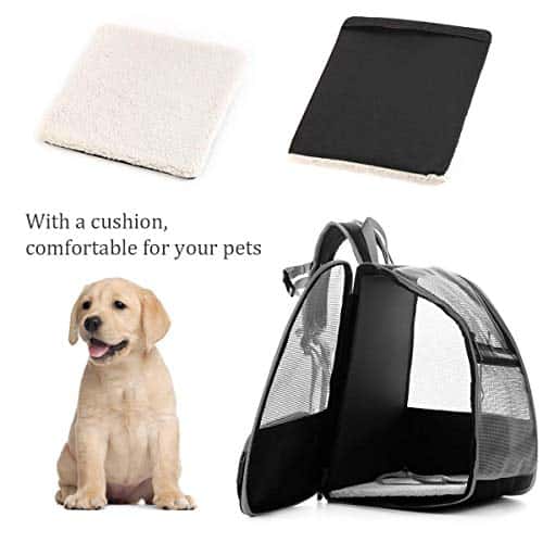 Lemmiklooma transpordikott – hingav, läbipaistev suurus P 42 × L 32 × K 38 cm, värv hall (Kiepoar)