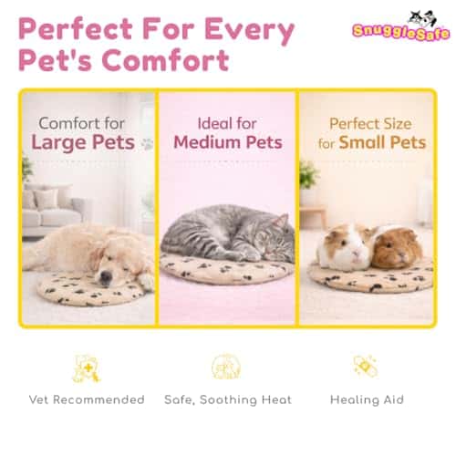 Kassivoodi – vett hülgav suurus P 22 × L 22 × K 4 cm, värv SnuggleSafe Microwave Heating Pad (Snugglesafe)