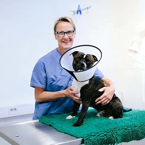 Taastumiskrae (Elizabethi krae) suurus Circonférence 42-46cm, profondeur 26cm, värv valge (SUQ)