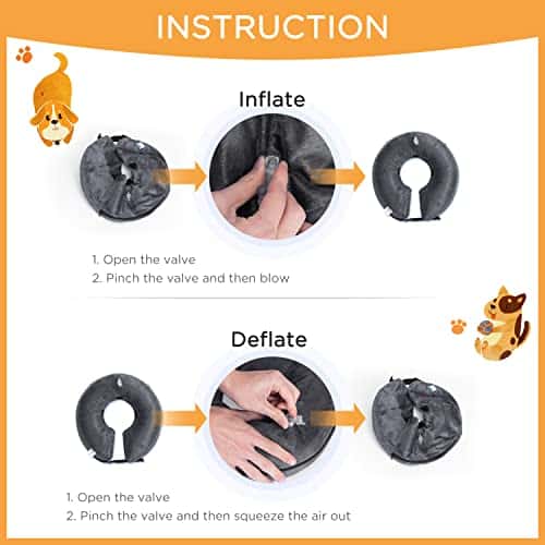 Taastumiskrae (Elizabethi krae) (Nobleza)