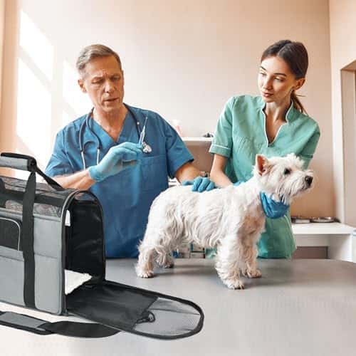 Lemmiklooma transpordikott – hingav, eemaldatav, reguleeritav suurus M, värv hall (Zavothy)