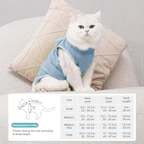 Taastumisbody (kassile/koerale) (Avont)