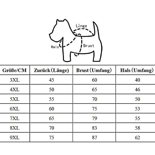 Koera kampsun – soe (Eastlion)