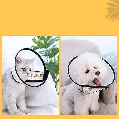 Taastumiskrae (Elizabethi krae) suurus Circonférence 42-46cm, profondeur 26cm, värv valge (SUQ)