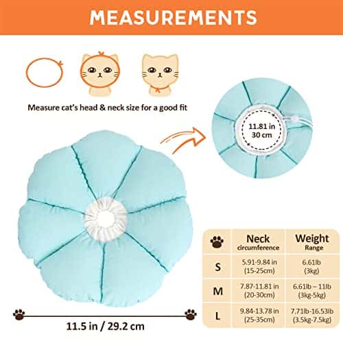 Taastumiskrae (Elizabethi krae) – pehme (Avont)