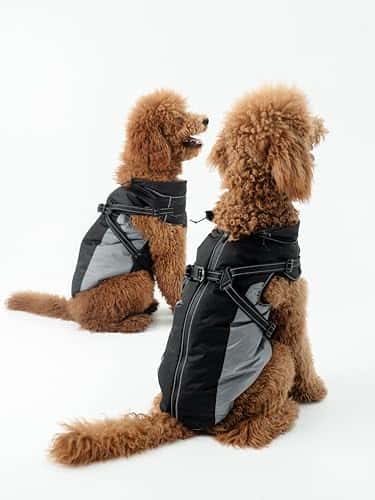 Koera vihmamantel – veekindel, helkiv, tuulekindel suurus #4, värv hall (DOGOPAL)