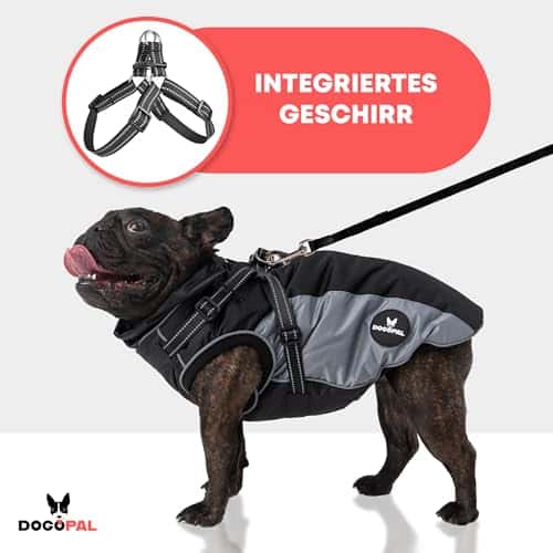 Koera vihmamantel – veekindel, helkiv, tuulekindel suurus #4, värv hall (DOGOPAL)