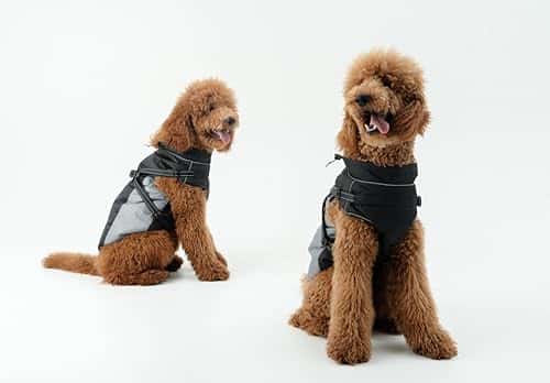 Koera vihmamantel – veekindel, helkiv, tuulekindel suurus #4, värv hall (DOGOPAL)