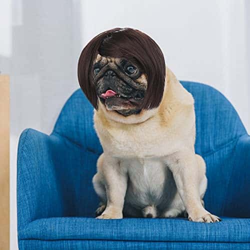 Koera riideese – reguleeritav suurus Medel, värv must (Cobee)