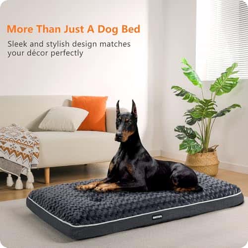 Koeravoodi – eemaldatav, ortopeediline, pestav suurus P 120 × L 74 × K 12 cm, värv tumehall (HMTOPE)