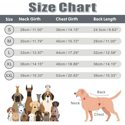 Koera riideese – veekindel, helkiv, soe (Oslueidy)