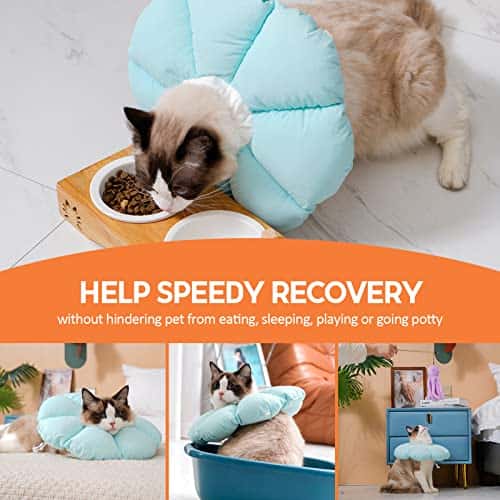 Taastumiskrae (Elizabethi krae) – pehme (Avont)