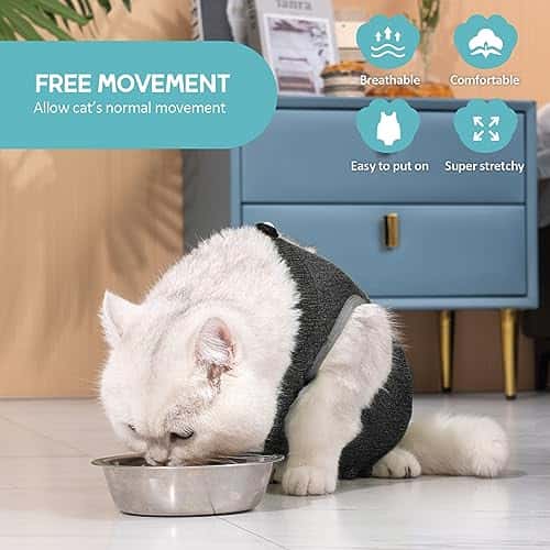 Taastumisbody (kassile/koerale) (Avont)