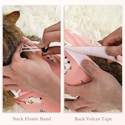 Taastumisbody (kassile/koerale) – hingav, reguleeritav, pehme suurus Small, värv Alpaka + Bonbon (ANWA)