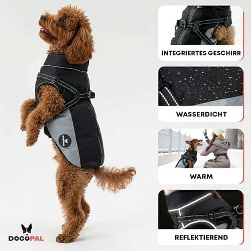 Koera vihmamantel – veekindel, helkiv, tuulekindel suurus #4, värv hall (DOGOPAL)