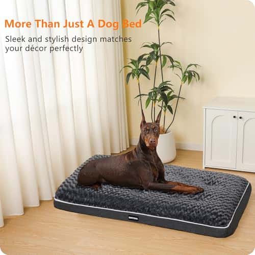 Koeravoodi – eemaldatav, ortopeediline, pestav suurus P 120 × L 74 × K 12 cm, värv tumehall (HMTOPE)