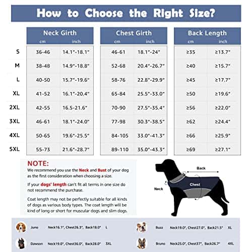 Koera mantel – veekindel, helkiv, soe (IREENUO)