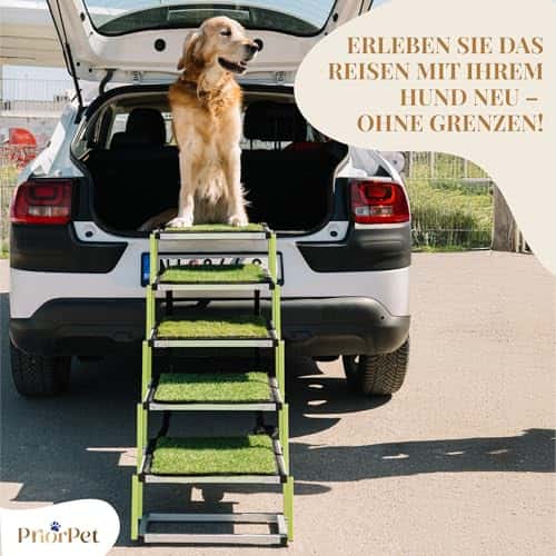 Lemmiklooma trepid – libisemisvastane, kokkupandav suurus 43_x_103_cm, värv roheline (PRIORPET)