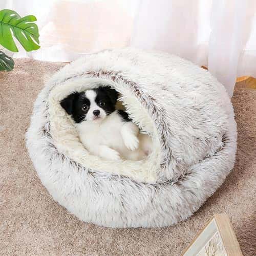 Koeravoodi – soe, pehme, kohev (SHJOEE)