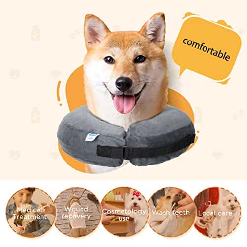 Taastumiskrae (Elizabethi krae) (Nobleza)