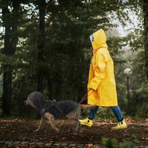 Koera vihmamantel – veekindel, helkiv, reguleeritav suurus XL, värv must (Mosucoirl)