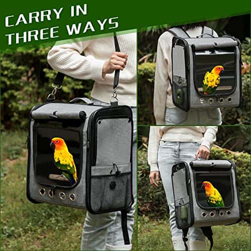 Lemmiklooma transpordikott – kerge (Suertree)