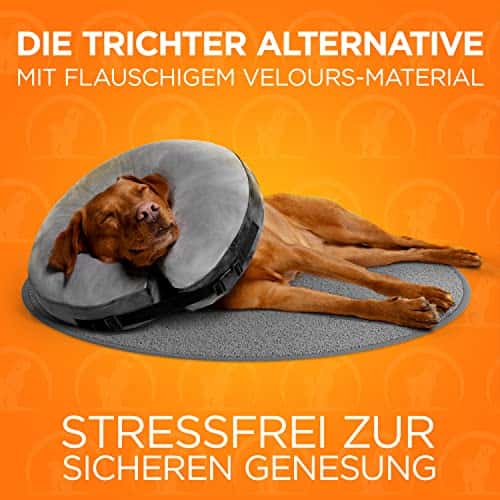 Taastumiskrae (Elizabethi krae) – pehme suurus L, värv hall (Tierhood)