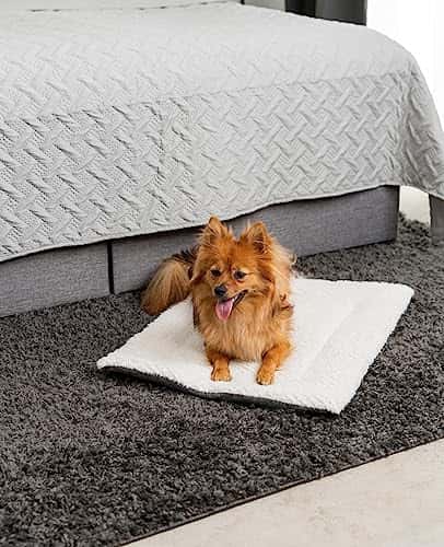 Koeravoodi – voodriga, kohev, pestav suurus P 60 × L 45 × K 4 cm, värv hall (lionto)