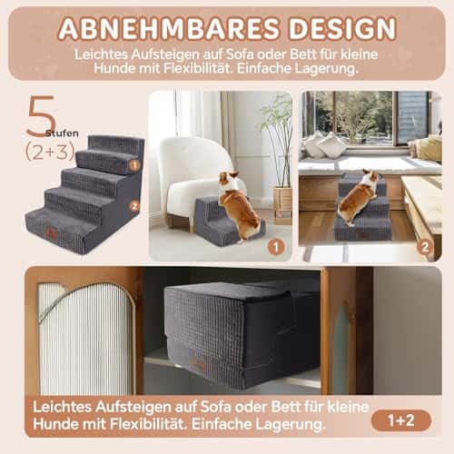 Lemmiklooma trepid – pestav (Sytopia)