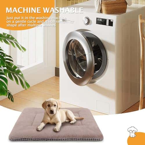 Koeravoodi – soe, mõnus, pehme suurus P 75 × L 50 × K 3 cm, värv khaki (PET SPPTIES)