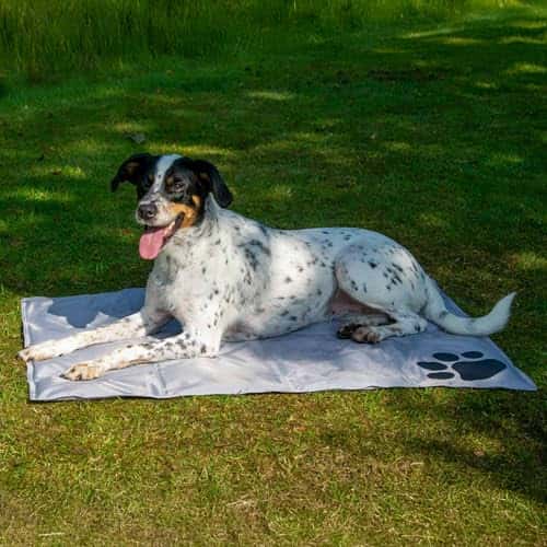 Jahutusmatt (lemmikloomale) suurus P 100 × L 70 × K 3 cm, värv hall (dobar)