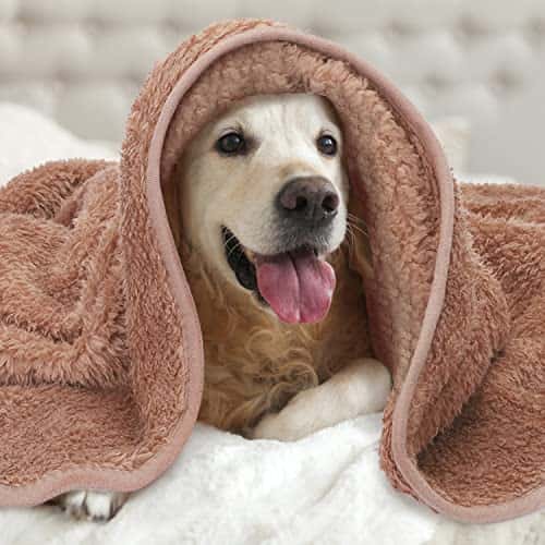 Lemmiklooma tekk/kate – soe, pehme, pestav (Nobleza)