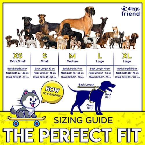 Koera turvavest – kõrge nähtavus suurus XS, värv oranž (4LegsFriend)