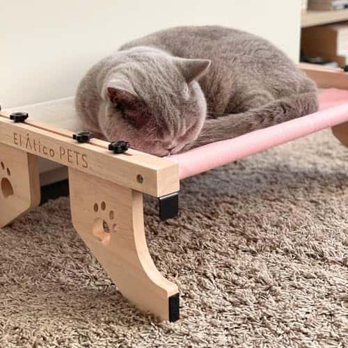 Kassivoodi suurus 55 cm × 40 cm × 20 cm, värv hall roosa (EL ÁTICO PETS)