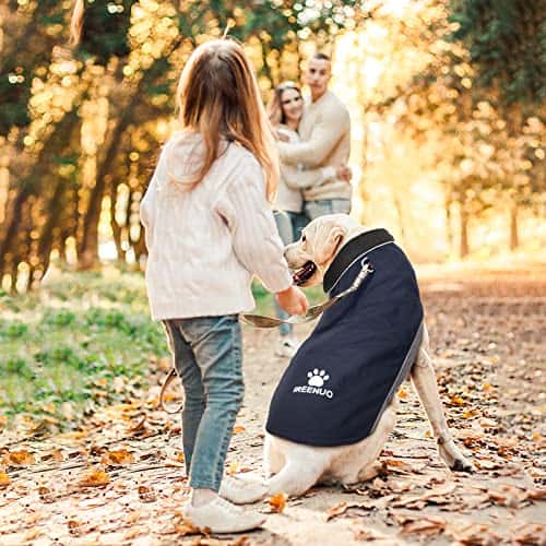 Koera mantel – veekindel, helkiv, soe (IREENUO)