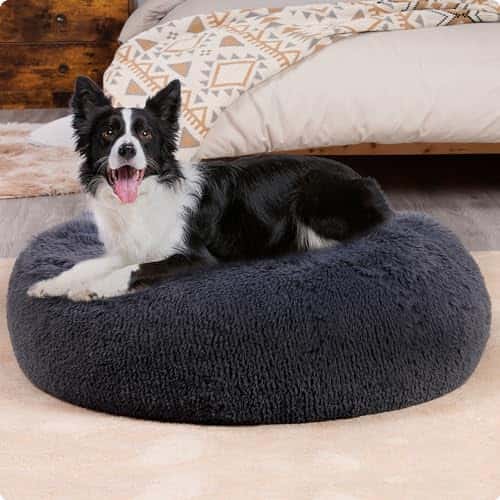 Koeravoodi – ortopeediline, mõnus, pestav suurus P 80 × L 80 × K 20 cm, värv tumehall (HMTOPE)