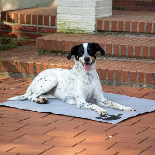 Jahutusmatt (lemmikloomale) suurus P 100 × L 70 × K 3 cm, värv hall (dobar)