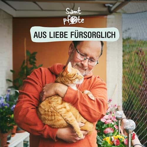 Kassi kaitsevõrk (rõdule/aknasse) – läbipaistev suurus 8x3 m (1er Pack), värv läbipaistev (Samtpfote)