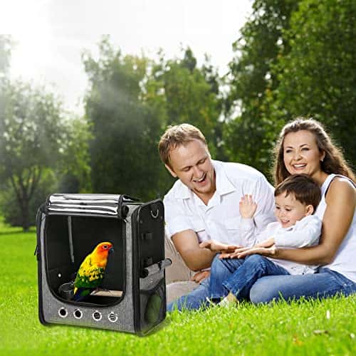 Lemmiklooma transpordikott – kerge (Suertree)