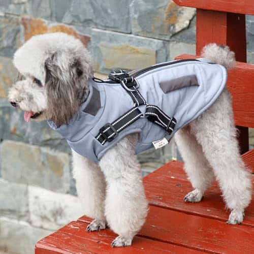 Koera riideese – veekindel, helkiv, soe (Oslueidy)