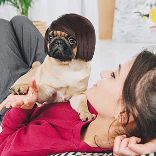 Koera riideese – reguleeritav suurus Medel, värv must (Cobee)