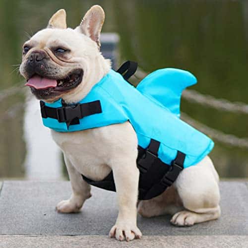 Koera turvavest suurus S, värv sinine (FONLAM)