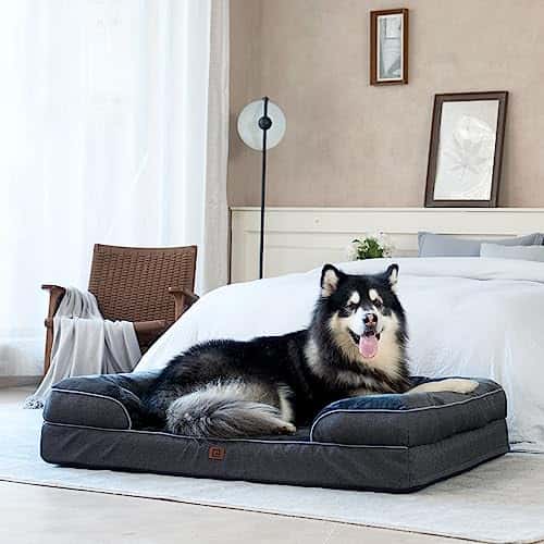 Koeravoodi – veekindel, libisemiskindel, ortopeediline (EHEYCIGA)