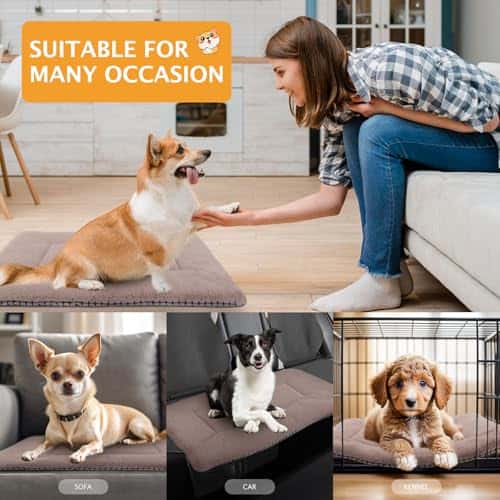 Koeravoodi – soe, mõnus, pehme suurus P 75 × L 50 × K 3 cm, värv khaki (PET SPPTIES)