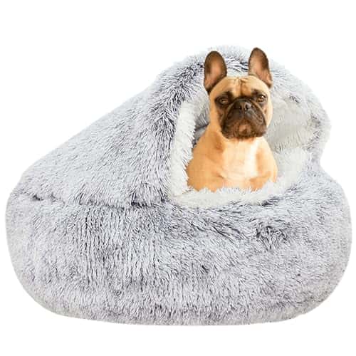 Koeravoodi – kohev (YUDANSI)